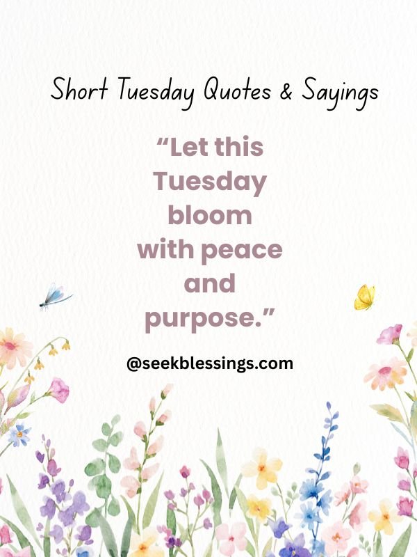 tuesday quotes and saying