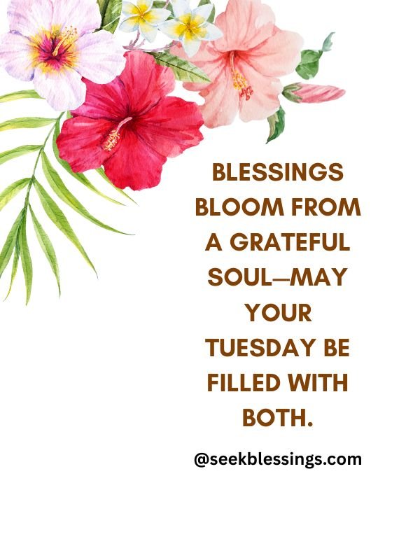good morning tuesday blessings