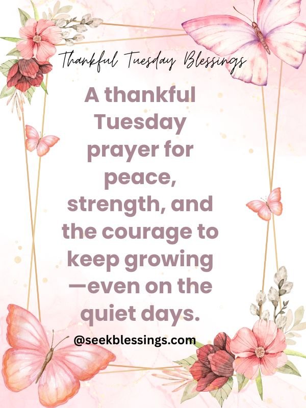 thankful tuesday blessings
