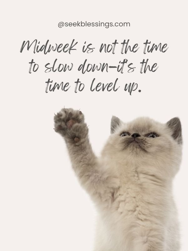 Inspirational Hump Day Quotes for Work & Life