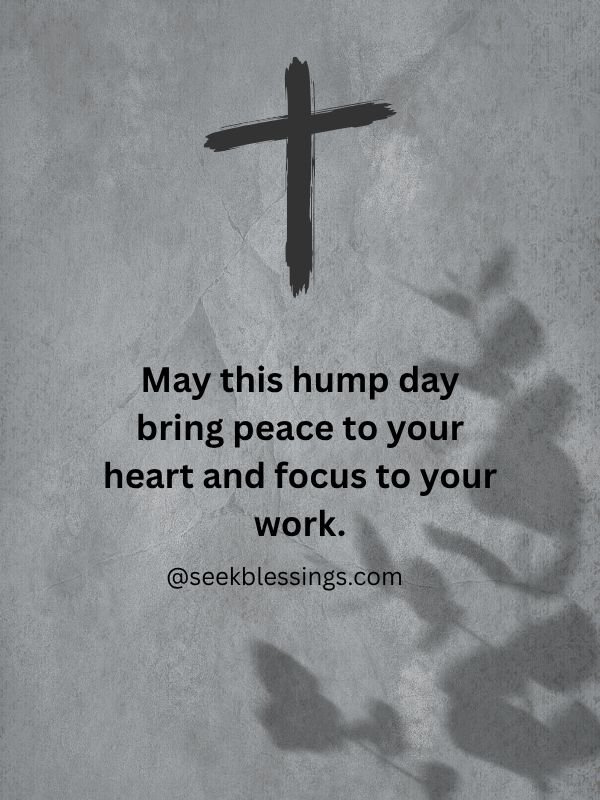 Top Hump Day Phrases and Variations