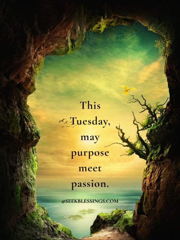 Daily Blessings