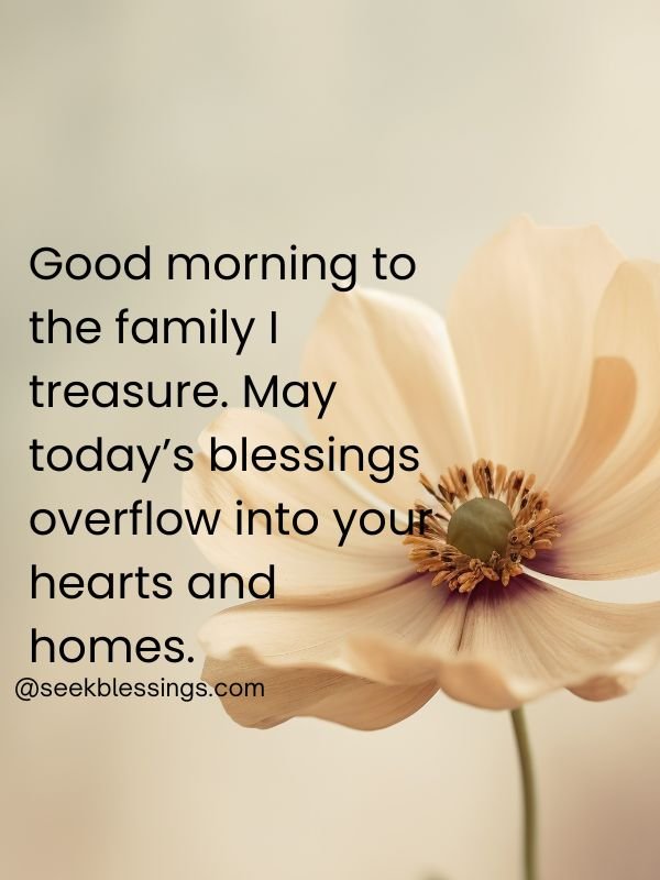 Wednesday Greetings for Family and Friends
