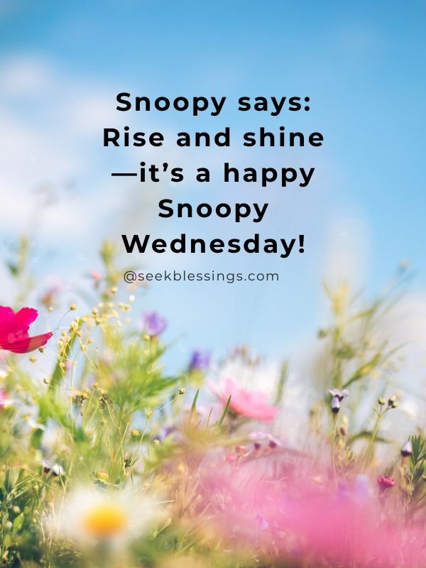 Happy Snoopy Wednesday Blessings