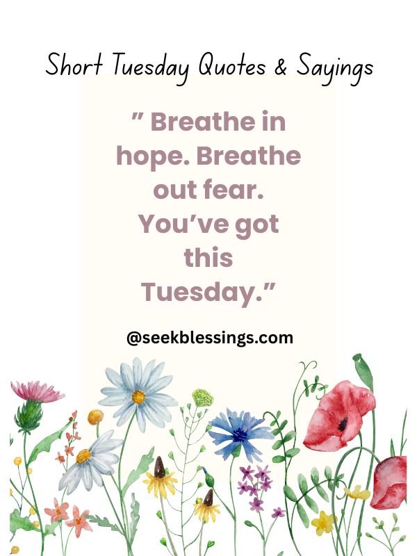 short tuesday quotes