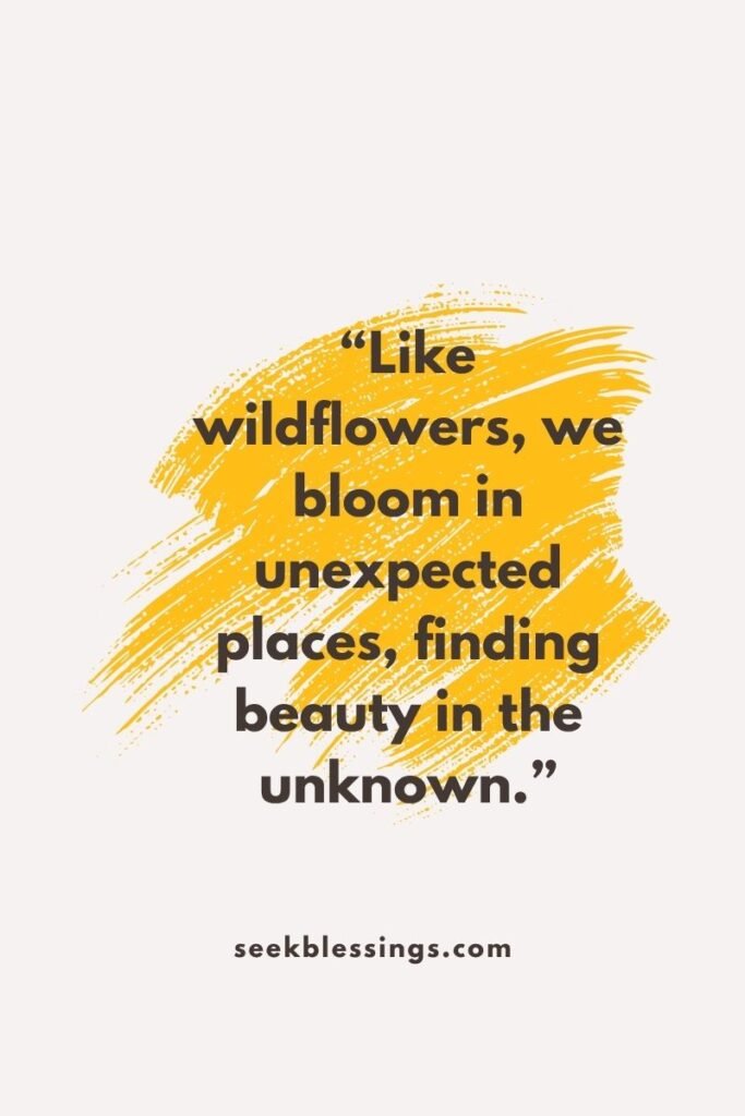 Aesthetic Life Quotes