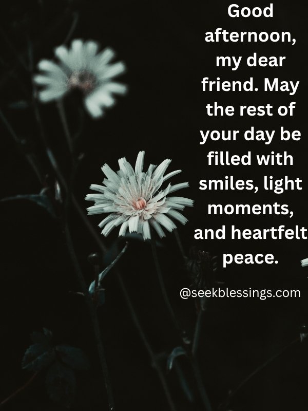 Afternoon Blessings for Friends and Family