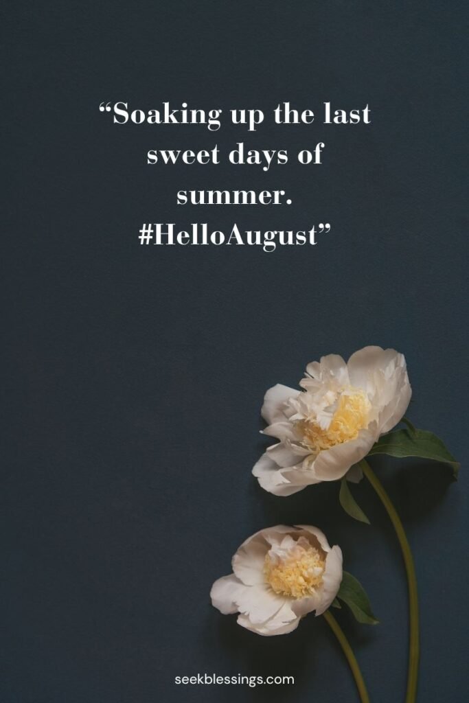 August Social Media Captions