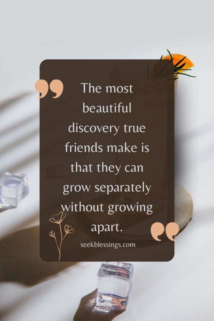Friendship Quotes