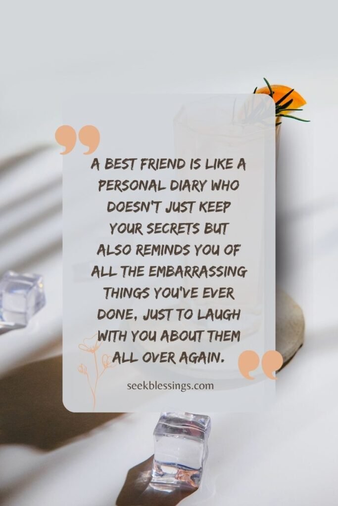 Funny Friendship Quotes