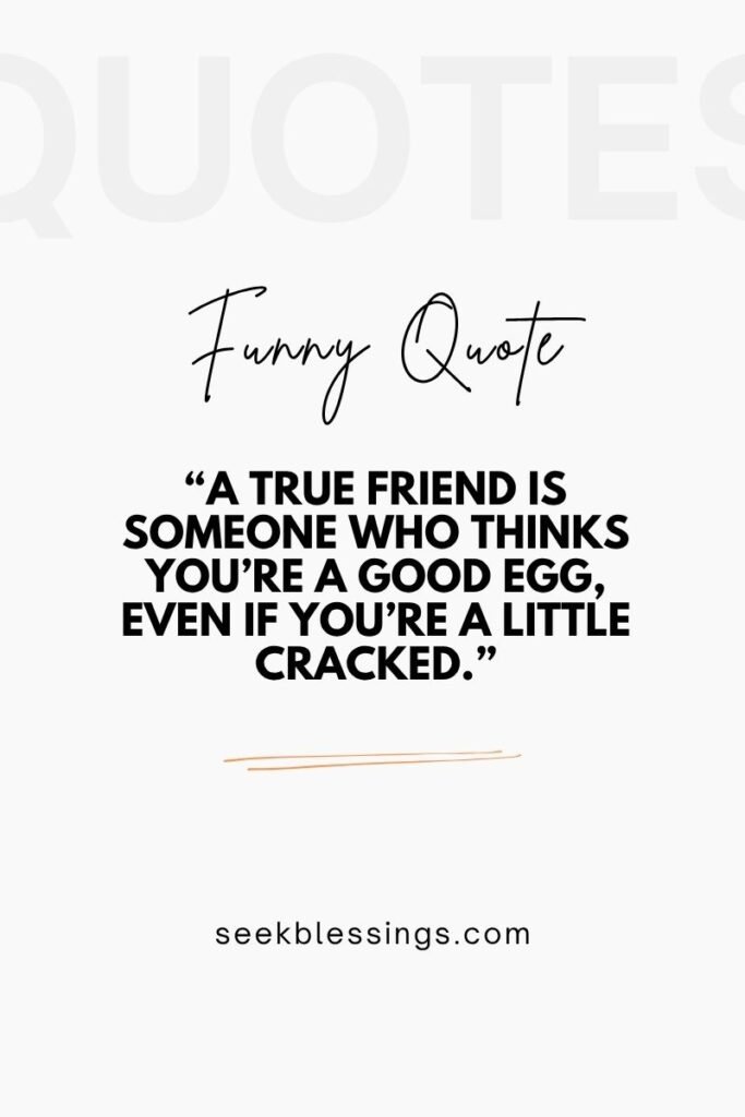 Funny Friendship Quotes