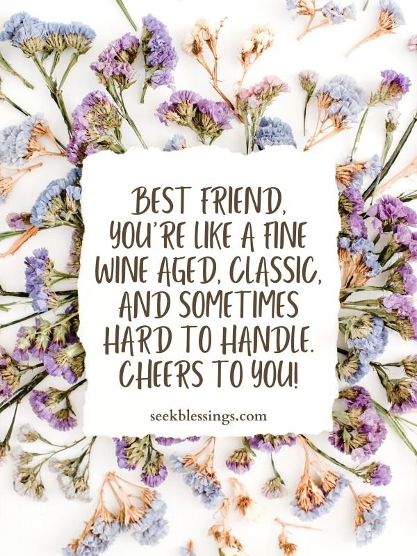 Funny Happy Birthday Quotes for Best Friend