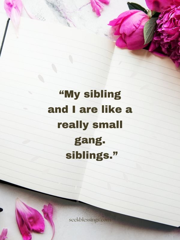 Funny Sibling Captions & quotes