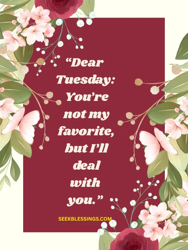 Funny Tuesday Morning Quotes to Lighten the Mood