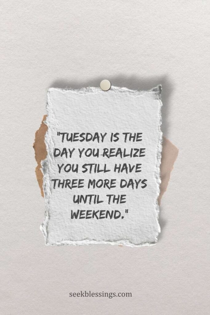 Funny Tuesday Quotes