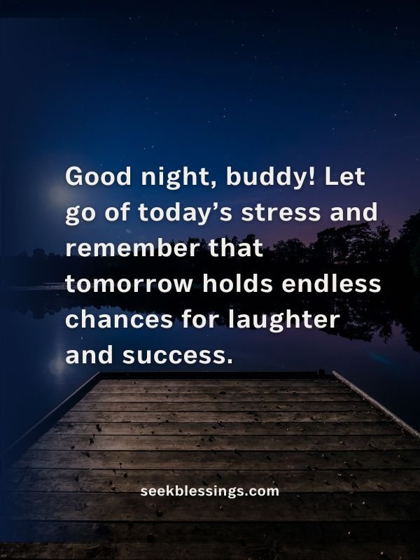 Good Night Quotes for Friends