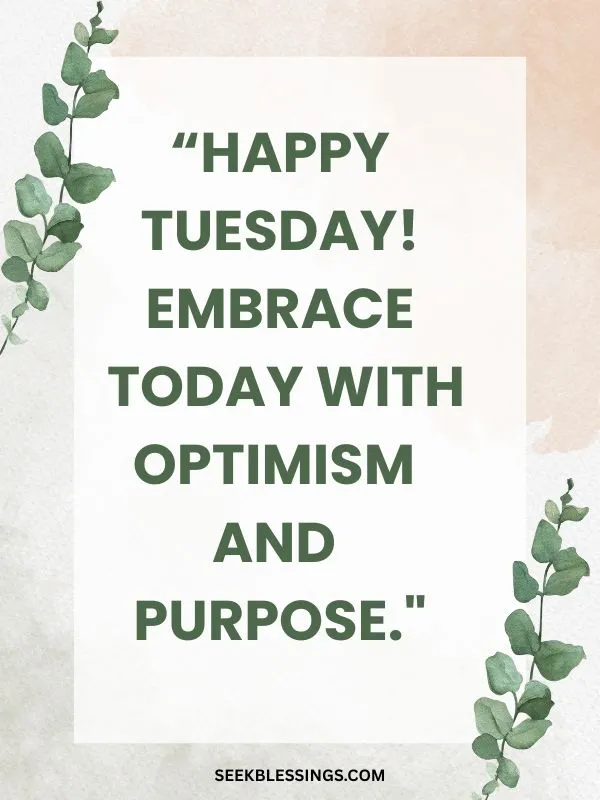 Happy Tuesday Quotes to Brighten Your Day