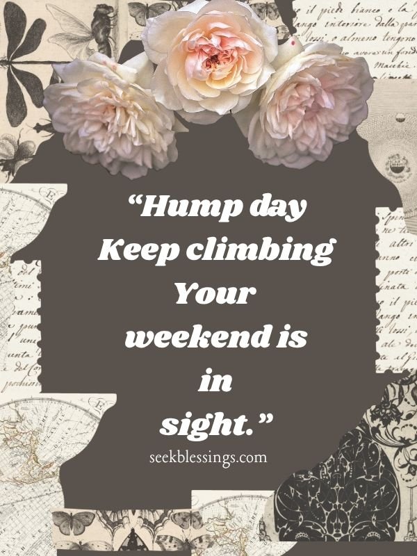 Hump Day Quotes to Beat the Midweek Slump