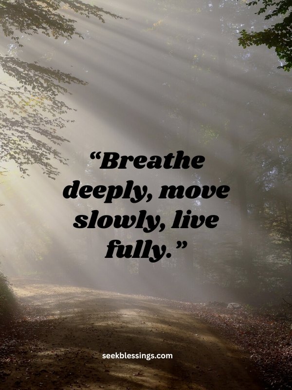  Motivational Sunday Quotes