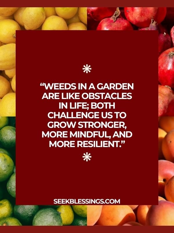 Quotes about Gardening as a Metaphor for Life