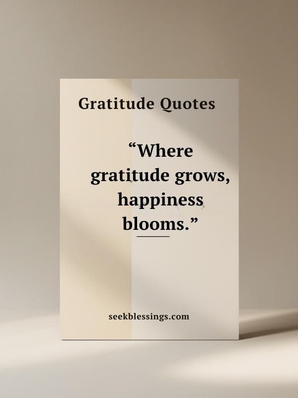 Short & Sweet Gratitude Quotes