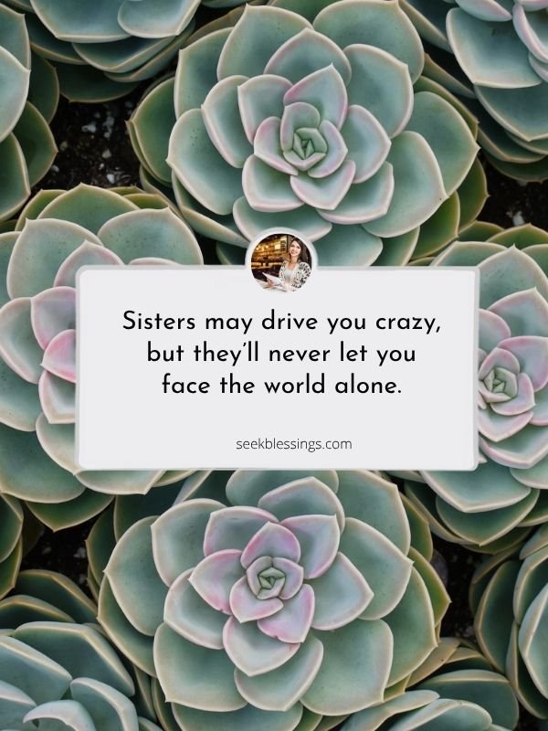 Heartfelt Sister Quotes 