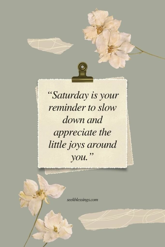 Saturday quote of the day