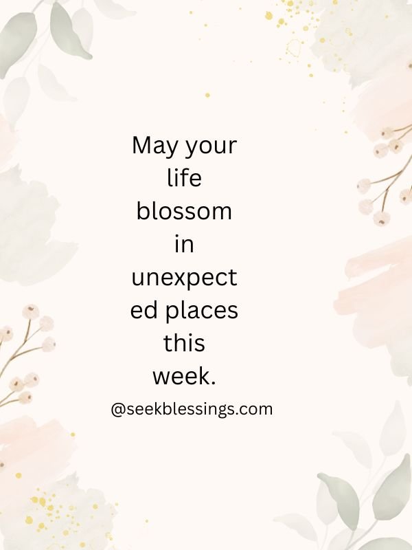 Flowers, Aesthetic Visuals, and Shareable Sunday Cards