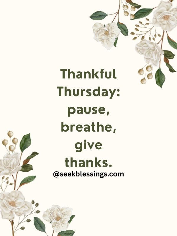 Thankful Thursday Blessings with white jasmine