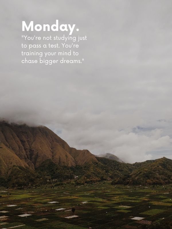 Study Motivation Quotes for Students