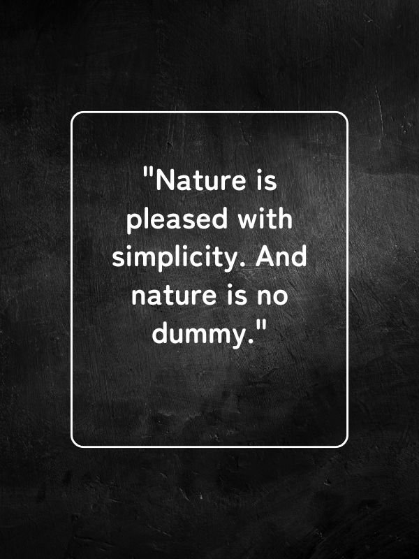 Newton Quotes on Science & Discovery
