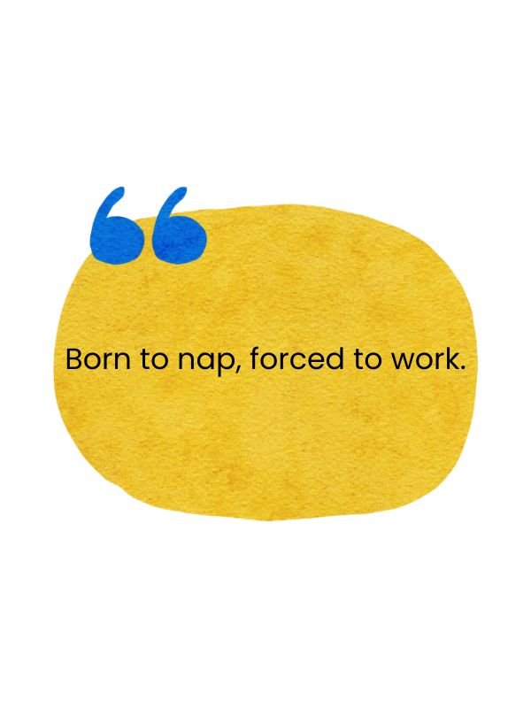 Funny & Sarcastic Bio Ideas – Because Life’s Too Short to Be Boring