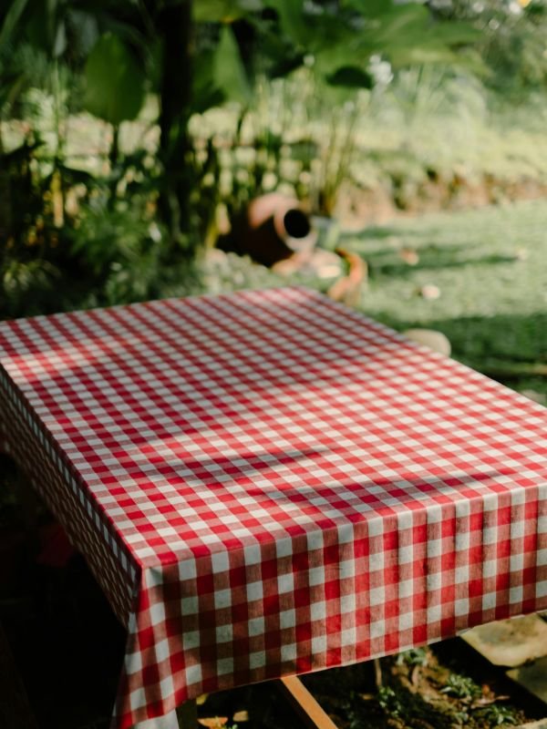 backyard picnic
