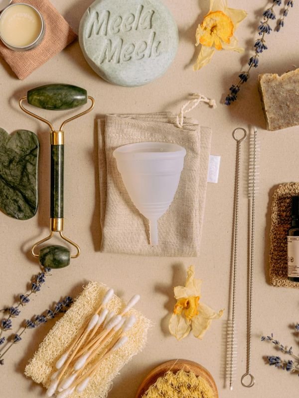 Self-Care Celebration