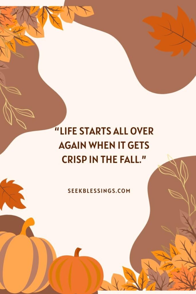 Short Fall Captions